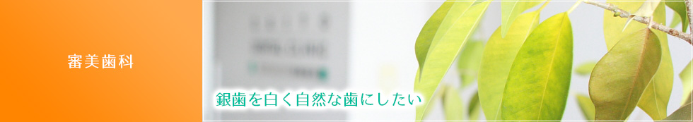 審美歯科